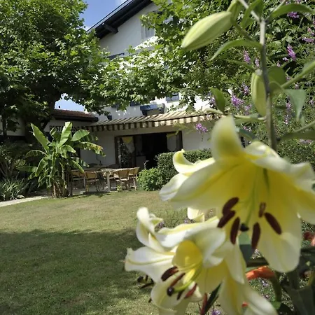 Abaca Ypua Restaurant